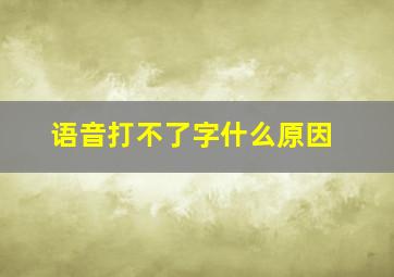 语音打不了字什么原因