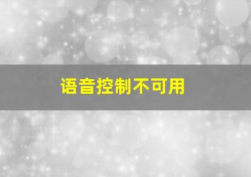 语音控制不可用