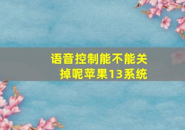 语音控制能不能关掉呢苹果13系统