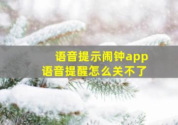 语音提示闹钟app语音提醒怎么关不了