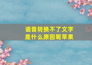 语音转换不了文字是什么原因呢苹果