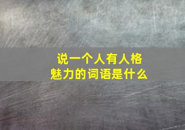 说一个人有人格魅力的词语是什么