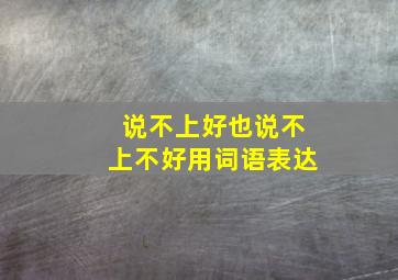 说不上好也说不上不好用词语表达