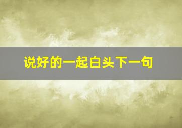 说好的一起白头下一句