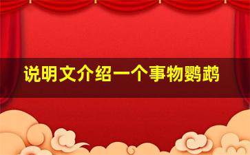 说明文介绍一个事物鹦鹉