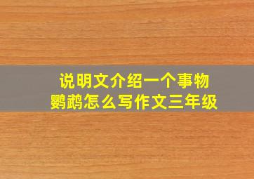 说明文介绍一个事物鹦鹉怎么写作文三年级