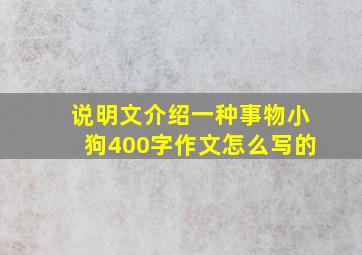 说明文介绍一种事物小狗400字作文怎么写的