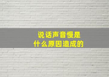 说话声音慢是什么原因造成的