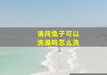 请问兔子可以洗澡吗怎么洗