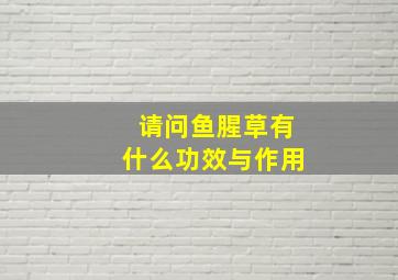 请问鱼腥草有什么功效与作用