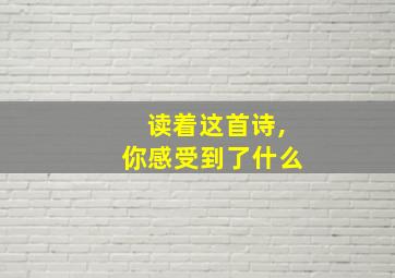 读着这首诗,你感受到了什么