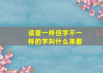 读音一样但字不一样的字叫什么来着