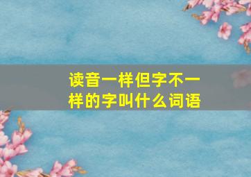 读音一样但字不一样的字叫什么词语