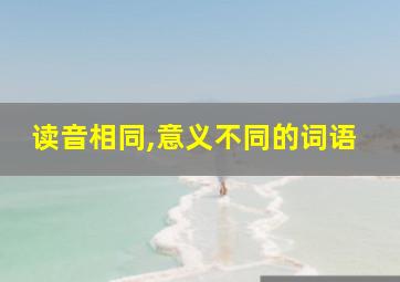 读音相同,意义不同的词语