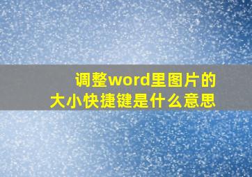 调整word里图片的大小快捷键是什么意思