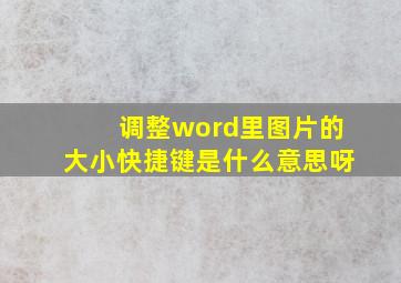 调整word里图片的大小快捷键是什么意思呀