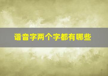 谐音字两个字都有哪些