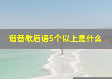 谐音歇后语5个以上是什么