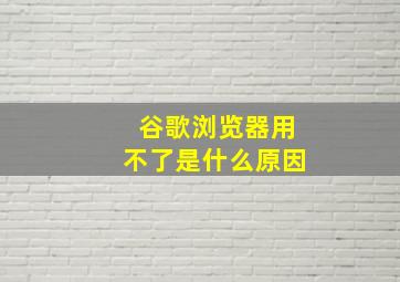 谷歌浏览器用不了是什么原因