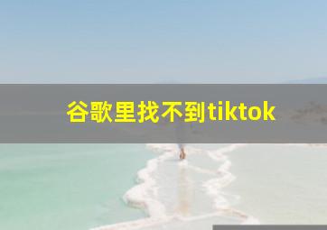 谷歌里找不到tiktok