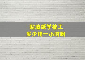 贴墙纸学徒工多少钱一小时啊