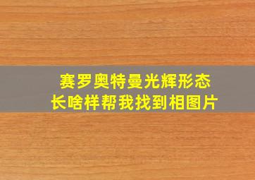 赛罗奥特曼光辉形态长啥样帮我找到相图片