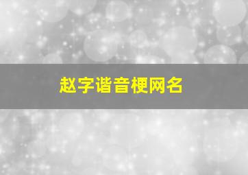 赵字谐音梗网名