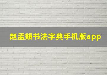 赵孟頫书法字典手机版app