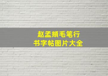 赵孟頫毛笔行书字帖图片大全