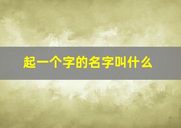 起一个字的名字叫什么