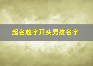 起名赵字开头男孩名字