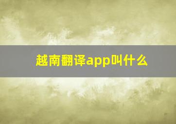 越南翻译app叫什么