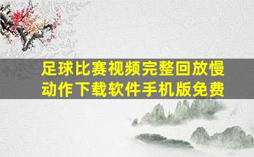 足球比赛视频完整回放慢动作下载软件手机版免费