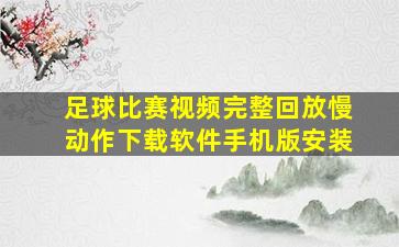 足球比赛视频完整回放慢动作下载软件手机版安装