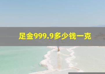 足金999.9多少钱一克