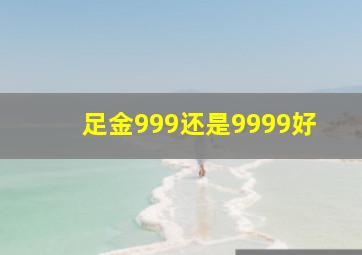 足金999还是9999好