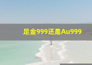 足金999还是Au999