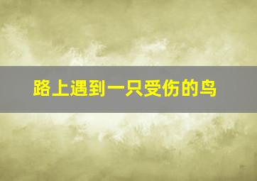 路上遇到一只受伤的鸟