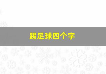 踢足球四个字