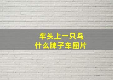 车头上一只鸟什么牌子车图片