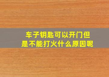 车子钥匙可以开门但是不能打火什么原因呢