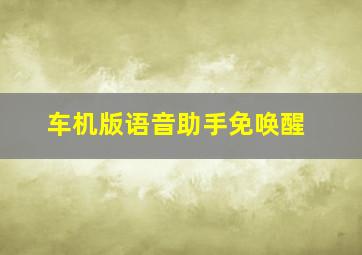 车机版语音助手免唤醒