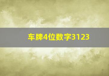 车牌4位数字3123