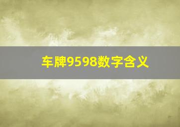 车牌9598数字含义