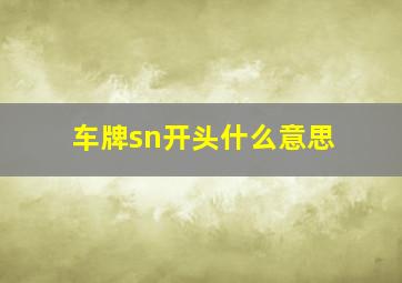 车牌sn开头什么意思