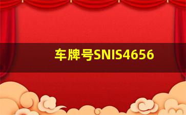 车牌号SNIS4656