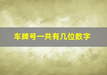 车牌号一共有几位数字