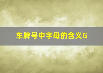 车牌号中字母的含义G