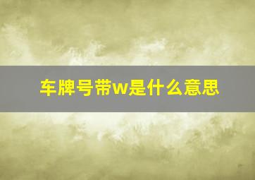 车牌号带w是什么意思