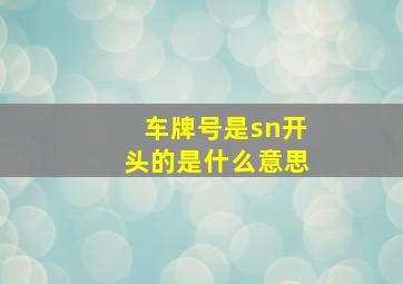 车牌号是sn开头的是什么意思